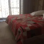 Ivy House Loca * アラカティ