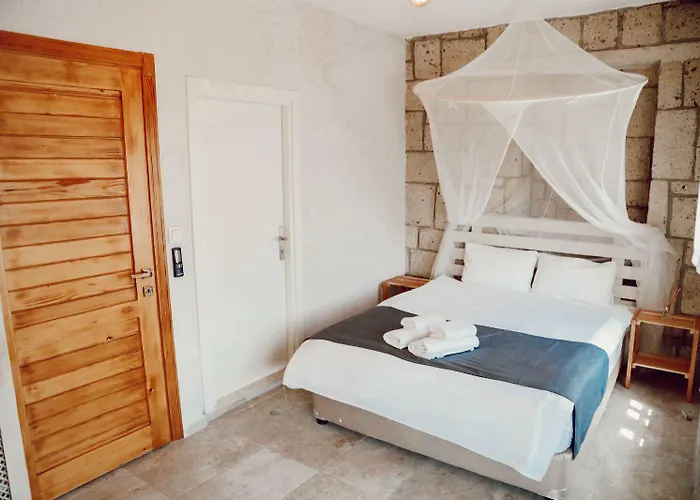 Ivy House Loca Hotel *